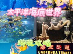 -太平洋海底世界