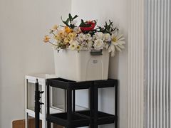 -青春加萌照相馆