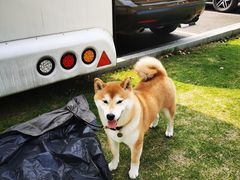 -钟山体育运动公园