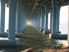 -宝安西湾红树林湿地公园