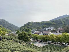 -龙井村