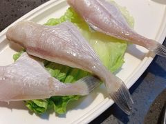 冰衣耗儿鱼-锅说大脸毛肚重庆老火锅(佐阾店)
