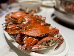 -大锅强·蒸海鲜青岛菜(金沙滩店)