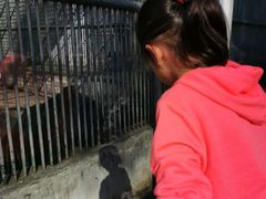 -祥源·阜阳生态乐园