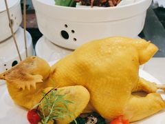 白斩鸡-三品香·江浙菜(松江九谊店)