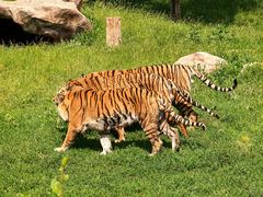 -沈阳森林动物园