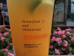 -茶百道(新城市广场店)