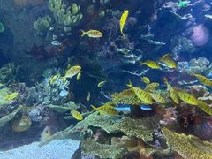 -欢乐海岸海洋奇梦馆