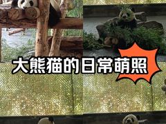 -上海野生动物园