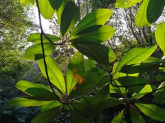 -上海滨江森林公园