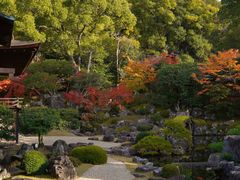 -醍醐寺