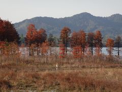 -四明湖