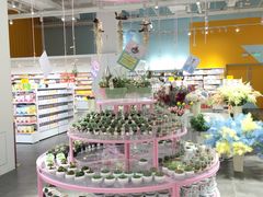 -KKV(深圳宏发大仟里店)