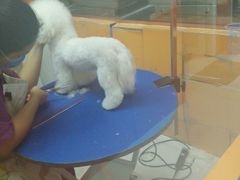 -惠康宠物医院(华能路店)