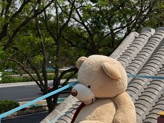 -BE YOLO必有乐&小红帽三明治