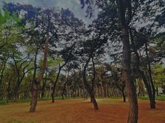 -长春市南湖公园