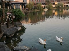 -上海怡沁园度假酒店