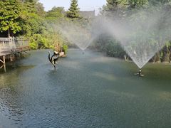 -安徽八里河旅游区