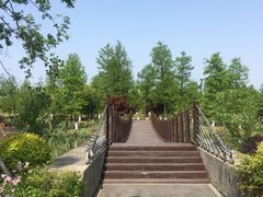 -九科绿洲