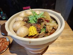 鲜烧香辣牛杂煲-晃晃悠悠酒肉合作社