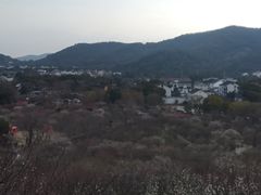 -香雪海