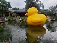-大门水乡·顺德菜