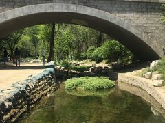 -白水寺森林公园