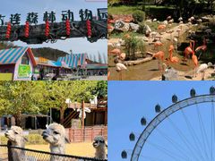 -大连森林动物园