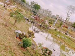 -东莞植物园