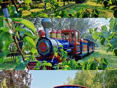 -永定河休闲森林公园