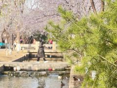 -春风习习