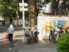 -溪岸路花鸟市场