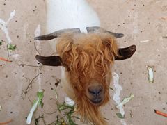 -石家庄市动物园