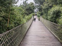 -铁山坪森林公园