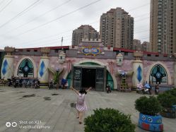 -维佳童话镇演出现场(徐东店)