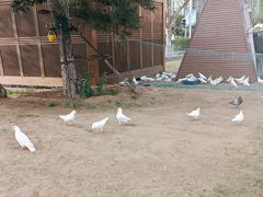-唐山宴百姓府邸院落中餐