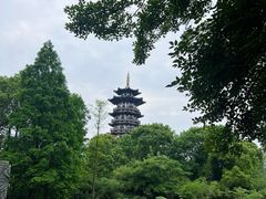 -洋湖国家湿地公园