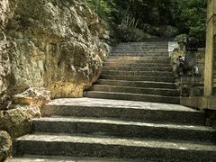 -佛慧山
