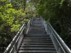 -佛山华盖山公园