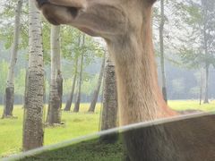 -秦皇岛野生动物园