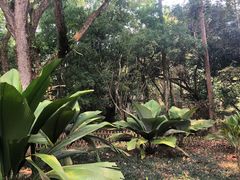 -中国科学院西双版纳热带植物园