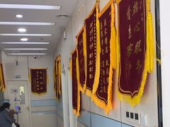 -中农国际动物医院24小时·猫科·骨科·急重症中心