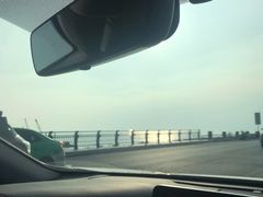 -合肥滨湖国家森林公园