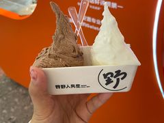 -野人先生现做冰淇淋(北京王府井东方新天地店)