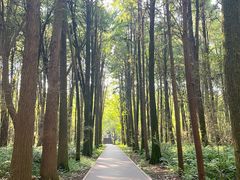 -同里国家湿地公园