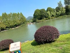 -南京珍珠泉风景区