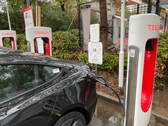 -TESLA 特斯拉(上海太古汇体验店)