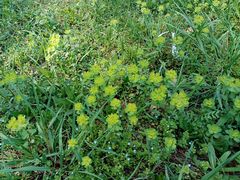 -河南省黄河迎宾馆