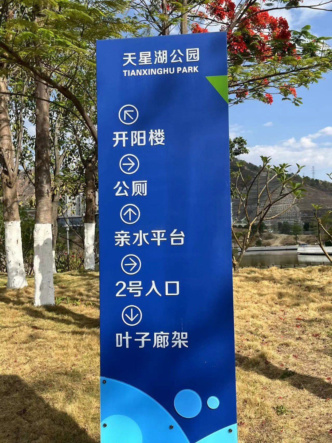 领略攀枝花魅力