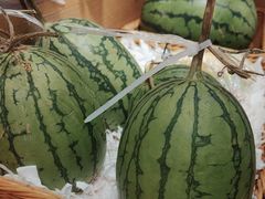 -金鼎轩(阜成门店)